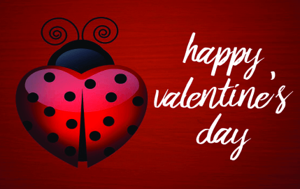 Valentine's Day Ladybug